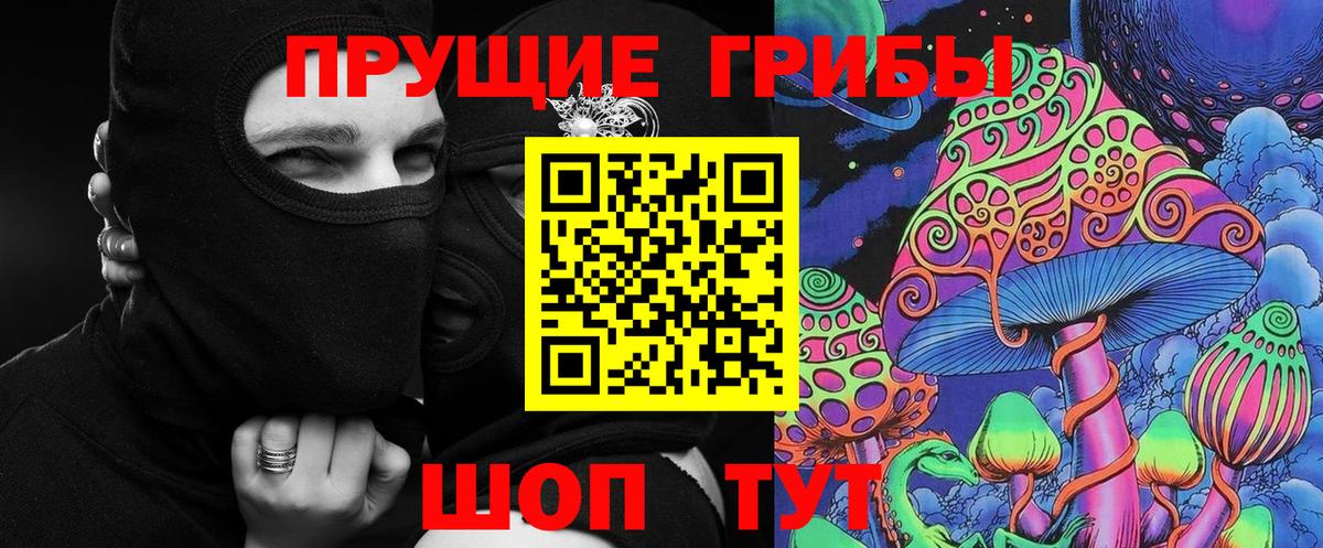 Псилоцибиновые грибы Cubensis  Вход с VPN  Псилоцибиновые грибы Psilocybine cubensis  Зеленогорск 