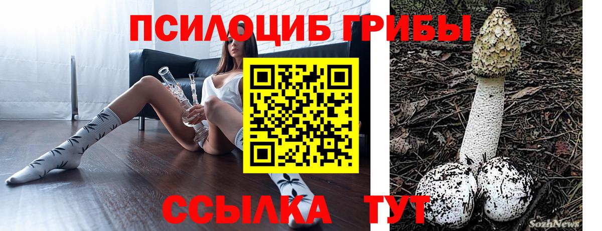Псилоцибиновые грибы Psilocybine cubensis Зеленогорск